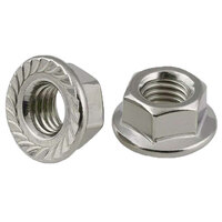 M10-1.5 Zinc Finish Steel Class 8 Regular Serrated Flange Nut