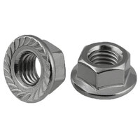 M12-1.75 18-8 Stainless Steel Serrated Flange Nut